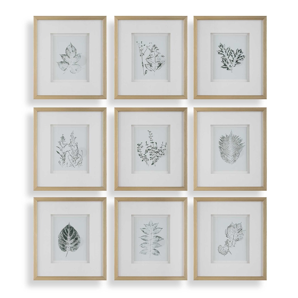 Uttermost Nature&#39;s Script Framed Botanical Prints Set/9