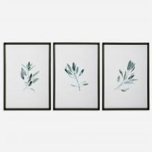 Uttermost 33723 - Uttermost Simple Sage Watercolor Prints Set/3